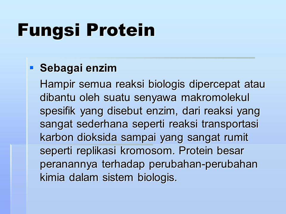 Fungsi Protein Sebagai enzim