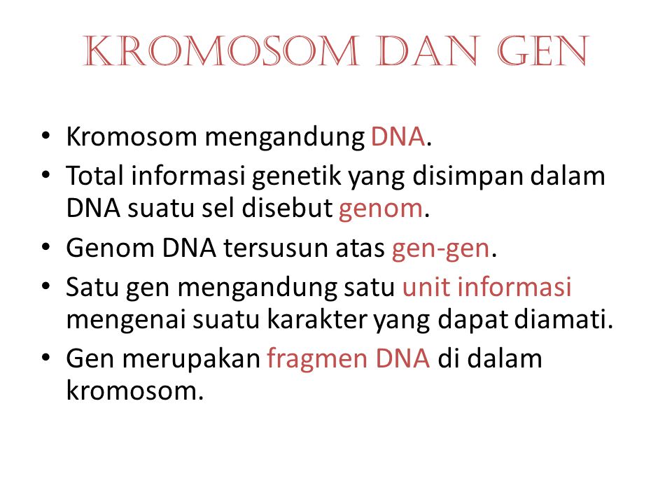 KROMOSOM DAN GEN Kromosom mengandung DNA.