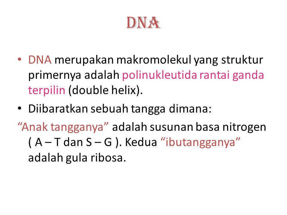 DNA DNA merupakan makromolekul yang struktur primernya adalah polinukleutida rantai ganda terpilin (double helix).