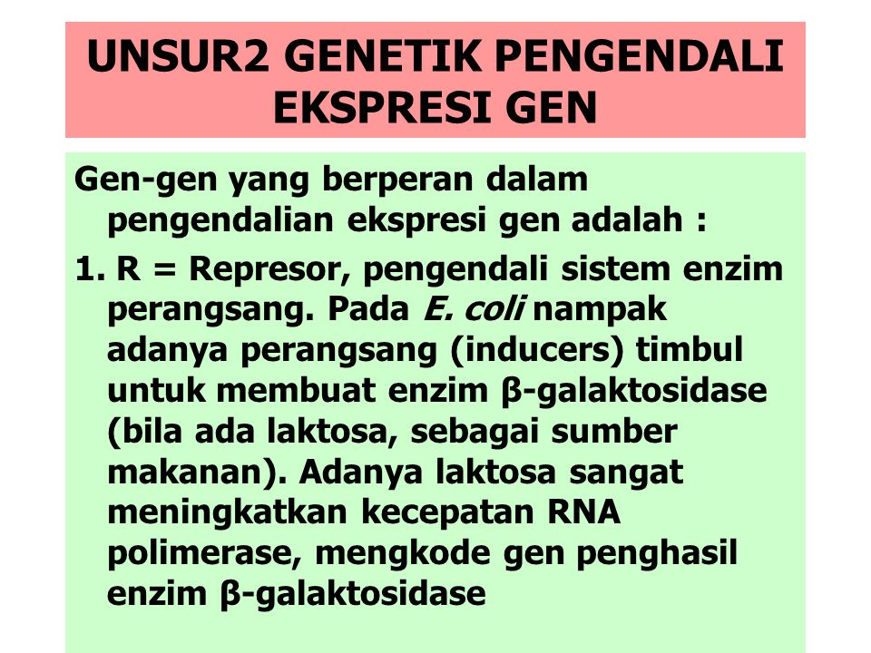 UNSUR2 GENETIK PENGENDALI EKSPRESI GEN