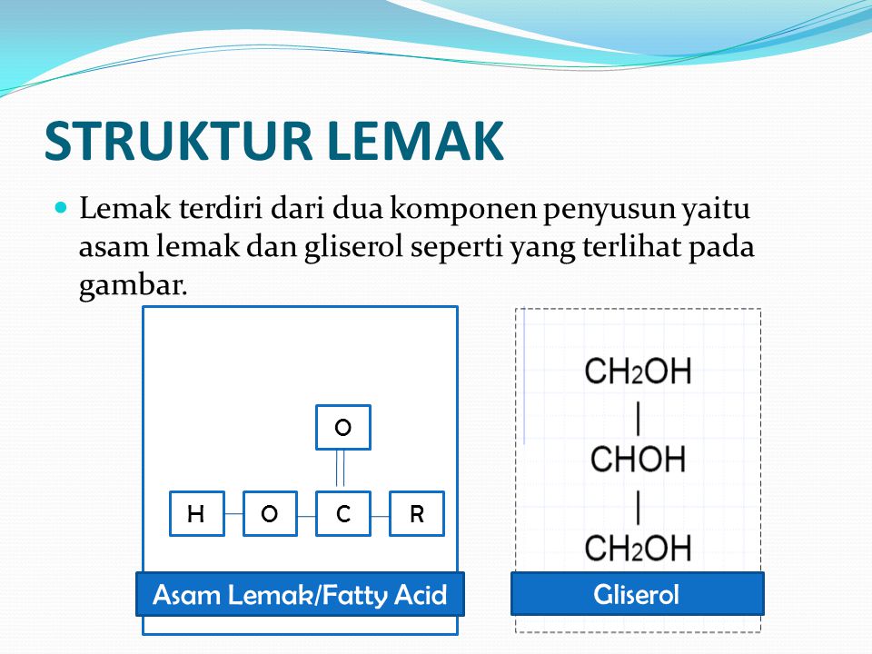 STRUKTUR LEMAK Lemak terdiri dari dua komponen penyusun yaitu asam lemak dan gliserol seperti yang terlihat pada gambar.