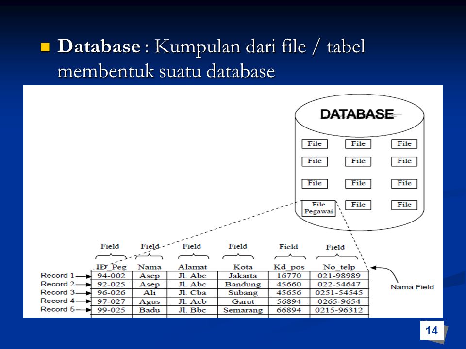 Database : Kumpulan dari file / tabel membentuk suatu database