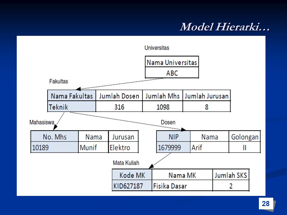 Model Hierarki… 28