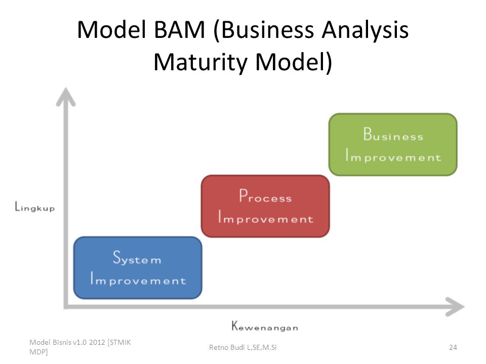 Model BAM (Business Analysis Maturity Model)