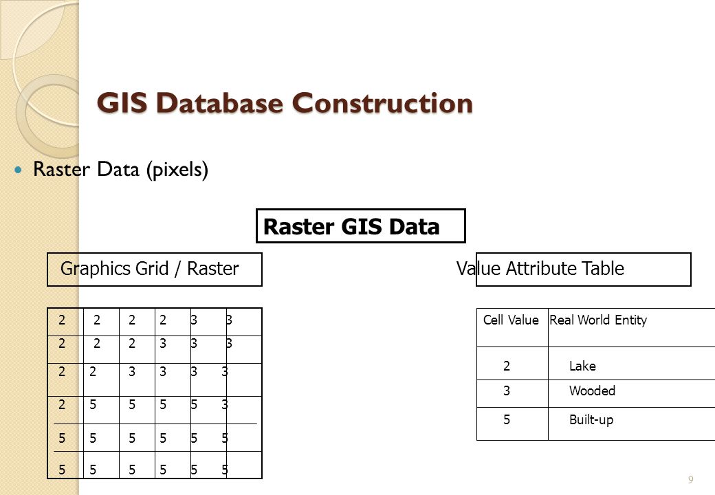 GIS Database Construction