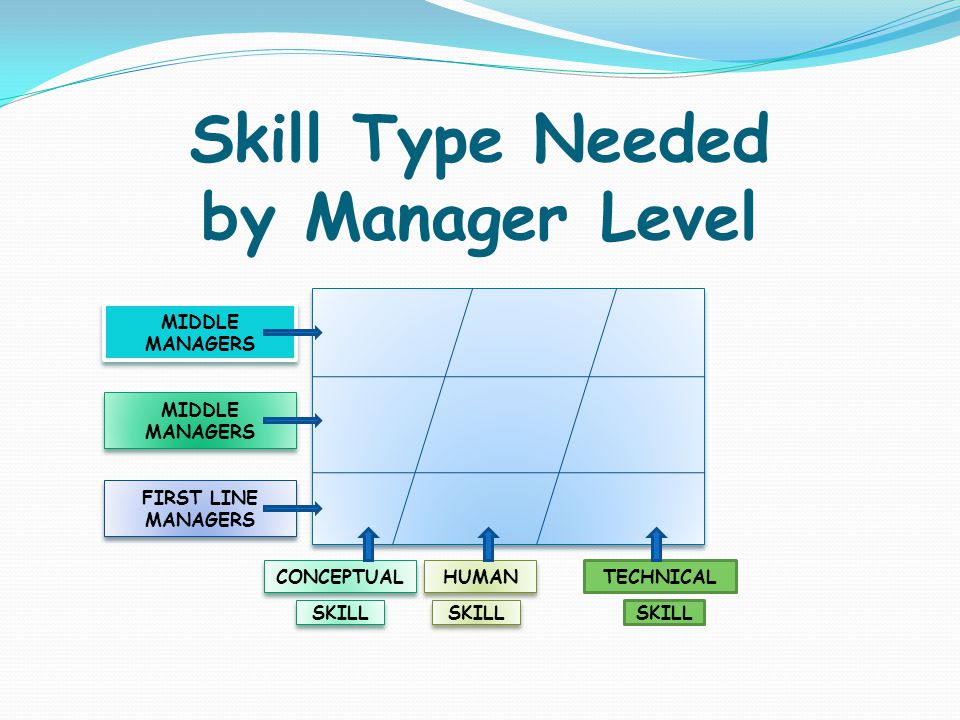 Skill Type Needed by Manager Level