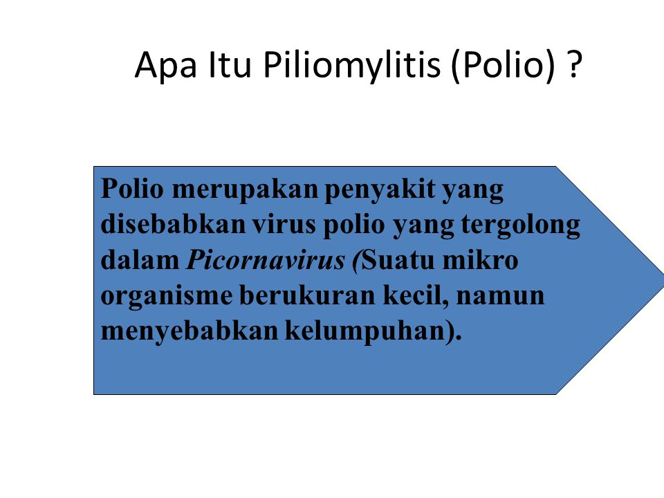 Apa Itu Piliomylitis (Polio)