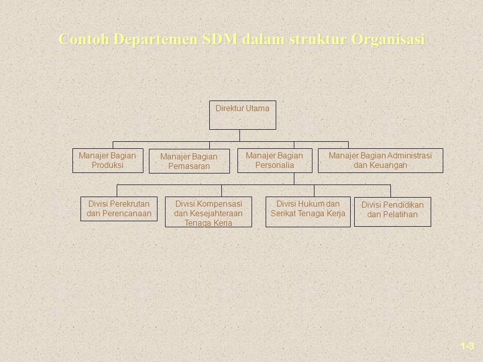 Contoh Departemen SDM dalam struktur Organisasi