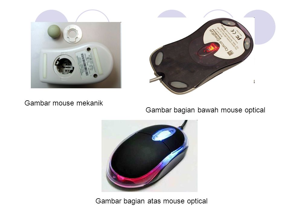 Gambar mouse mekanik Gambar bagian bawah mouse optical Gambar bagian atas mouse optical