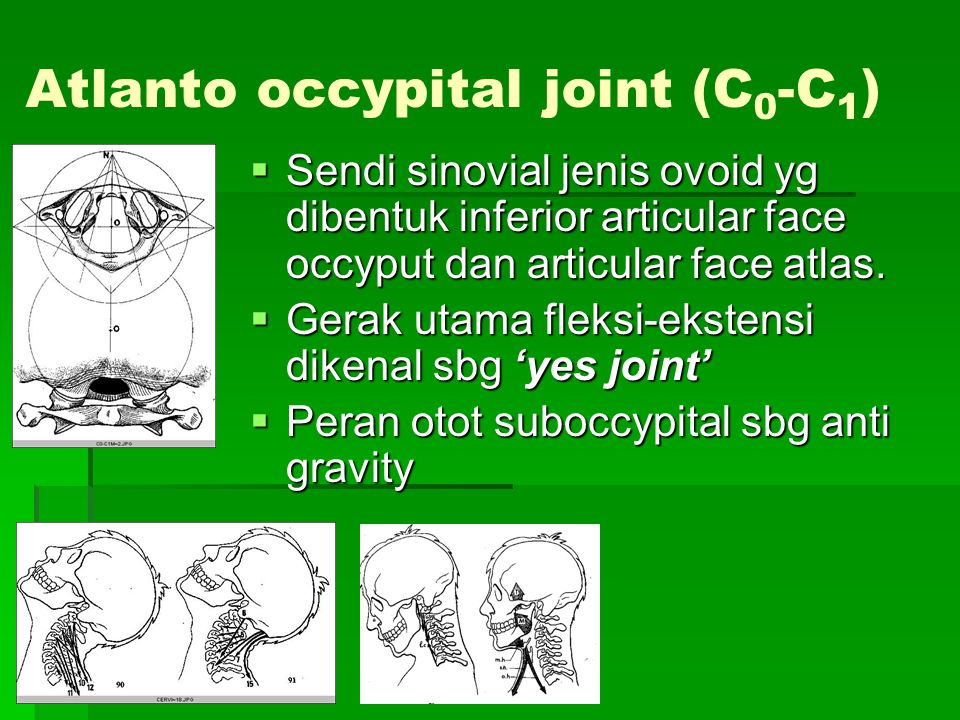 Atlanto occypital joint (C0-C1)