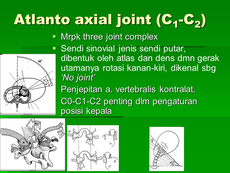 Atlanto axial joint (C1-C2)