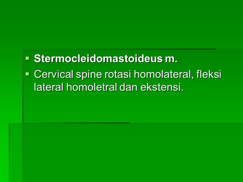 Stermocleidomastoideus m.