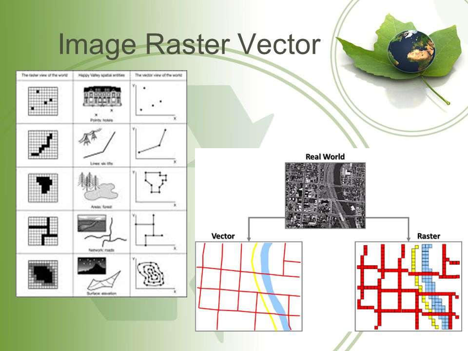 Image Raster Vector