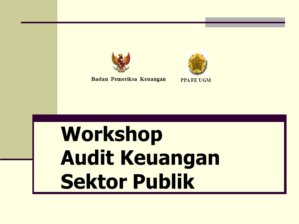 Workshop Audit Keuangan Sektor Publik