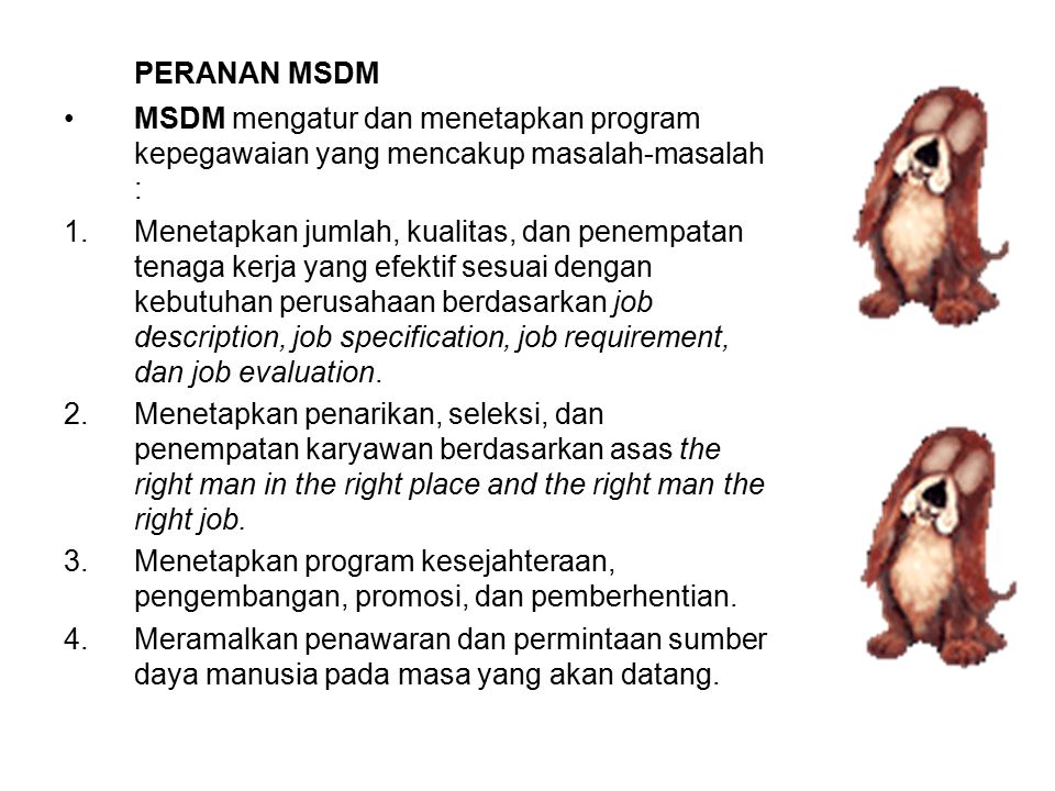 PERANAN MSDM MSDM mengatur dan menetapkan program kepegawaian yang mencakup masalah-masalah :