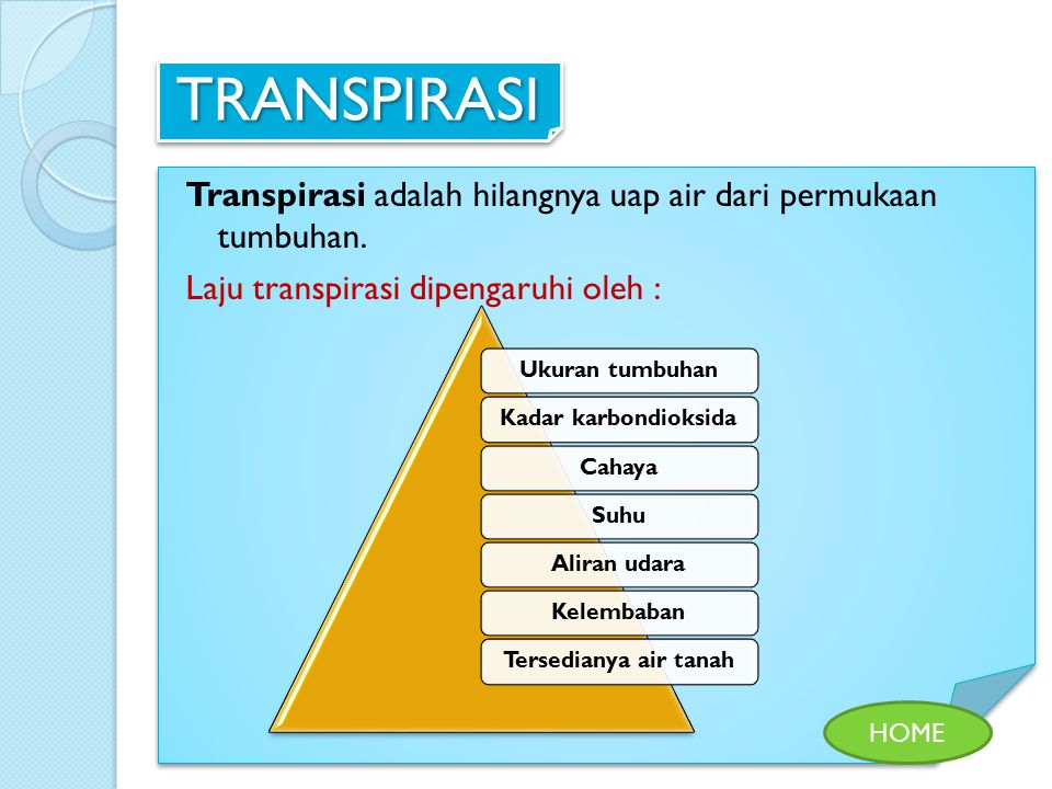 TRANSPIRASI Transpirasi adalah hilangnya uap air dari permukaan tumbuhan. Laju transpirasi dipengaruhi oleh :