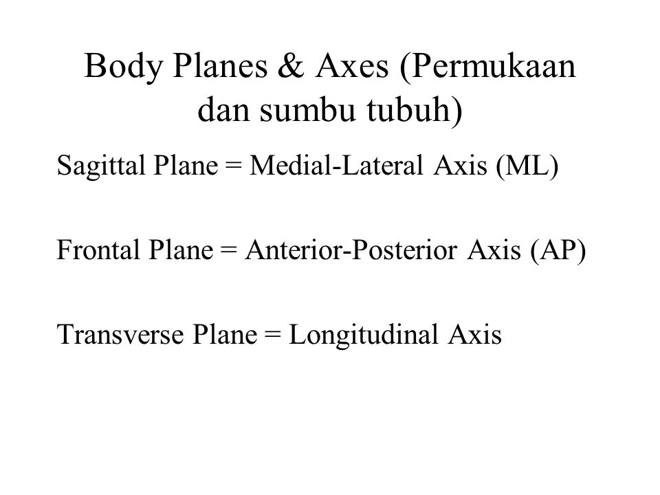 Body Planes & Axes (Permukaan dan sumbu tubuh)