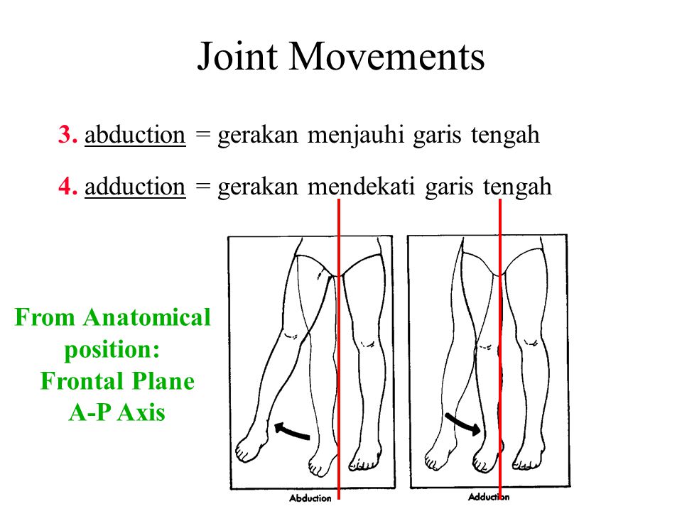 Joint Movements 3. abduction = gerakan menjauhi garis tengah