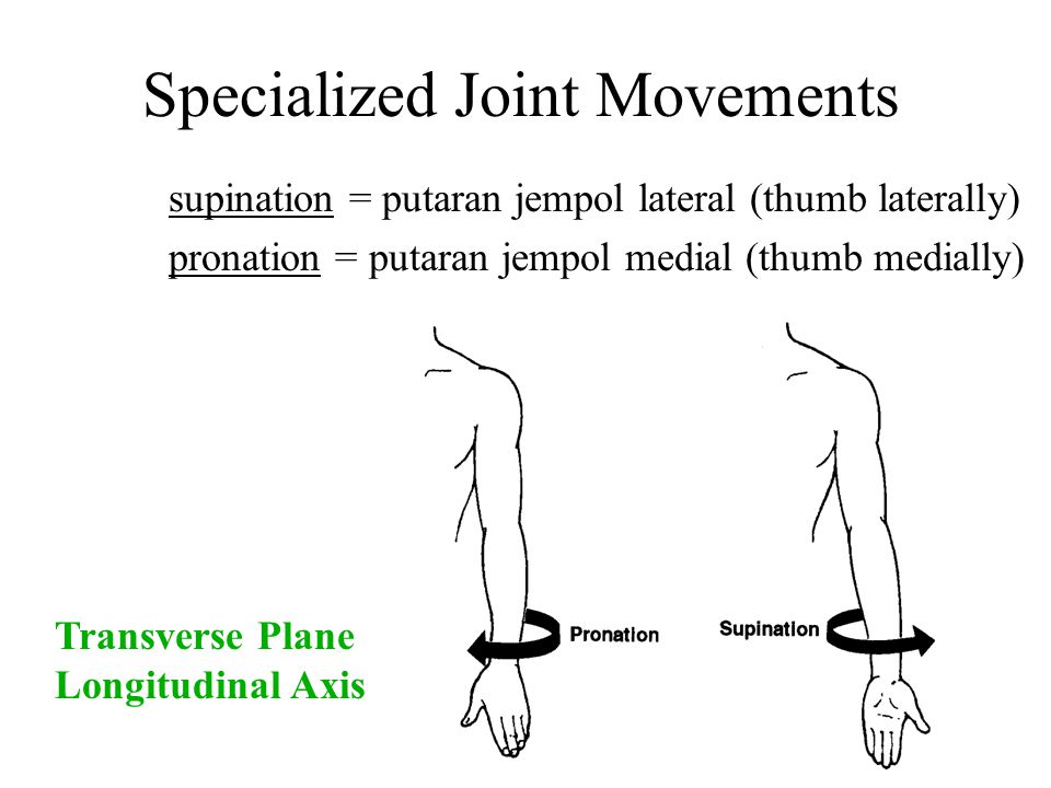 Specialized Joint Movements