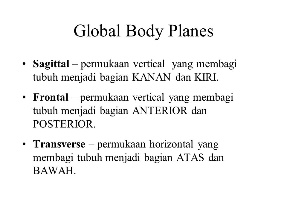 Global Body Planes Sagittal – permukaan vertical yang membagi tubuh menjadi bagian KANAN dan KIRI.