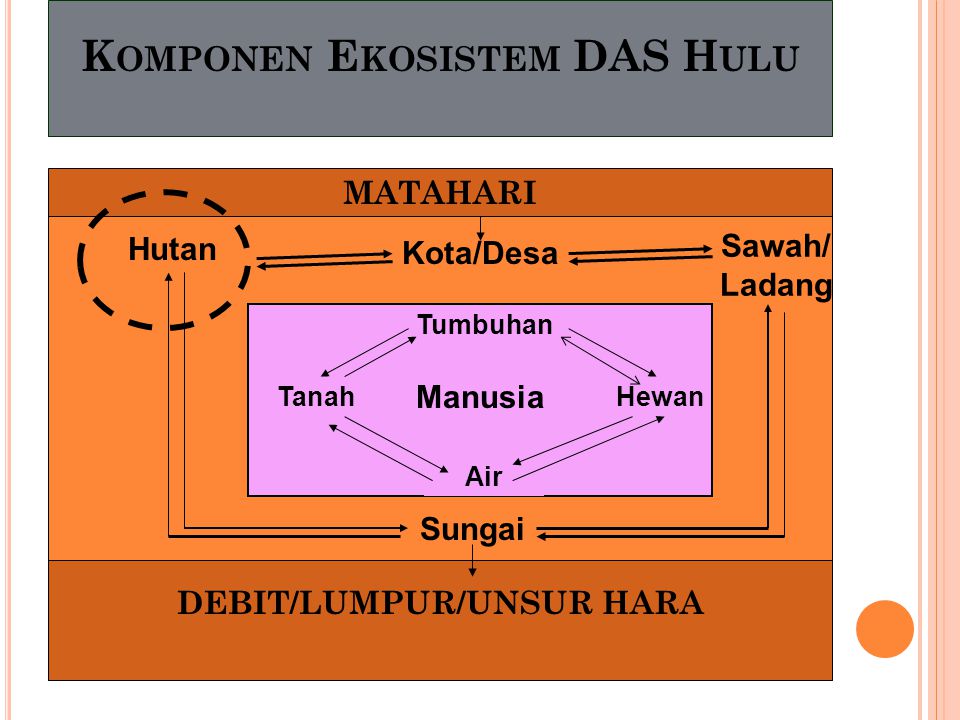 Ekonomi Sumberdaya Alam Dan Lingkungan Evolusi Agroekosistem Ppt Download