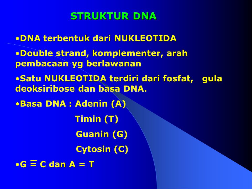 STRUKTUR DNA DNA terbentuk dari NUKLEOTIDA