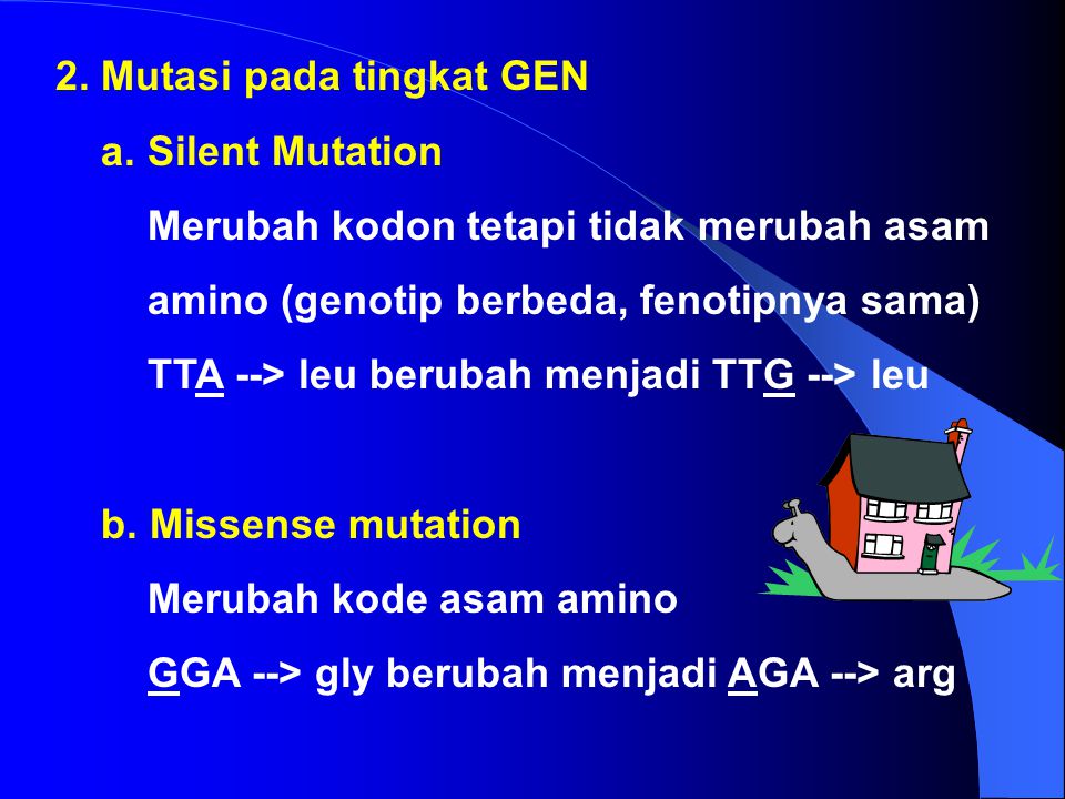 2. Mutasi pada tingkat GEN