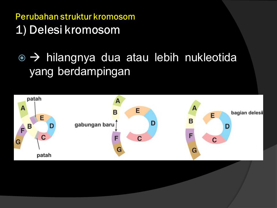 Perubahan struktur kromosom 1) Delesi kromosom