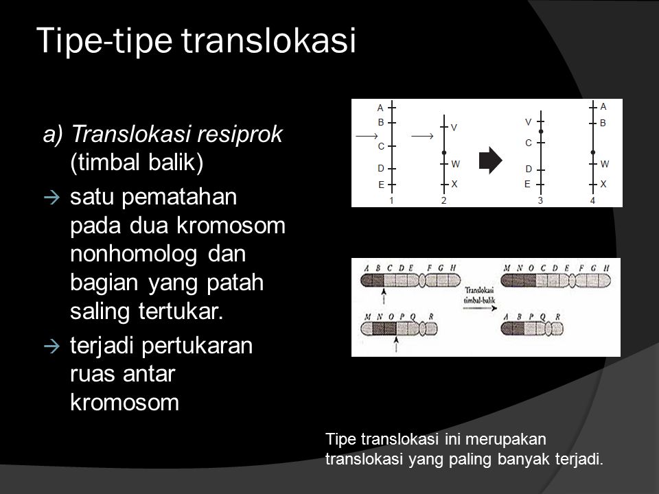 Tipe-tipe translokasi