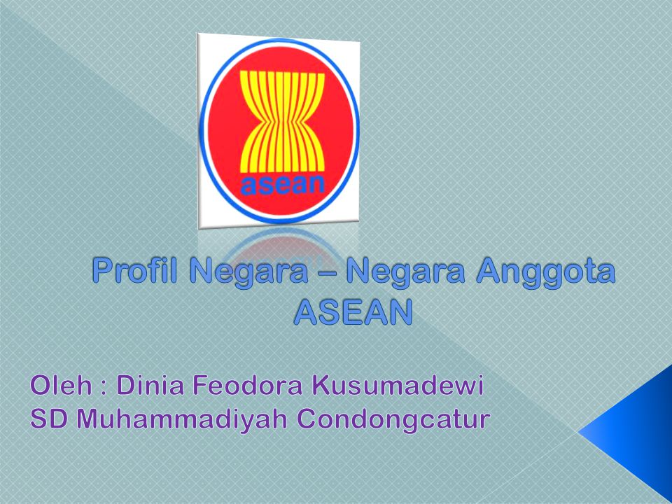 Profil Negara – Negara Anggota ASEAN