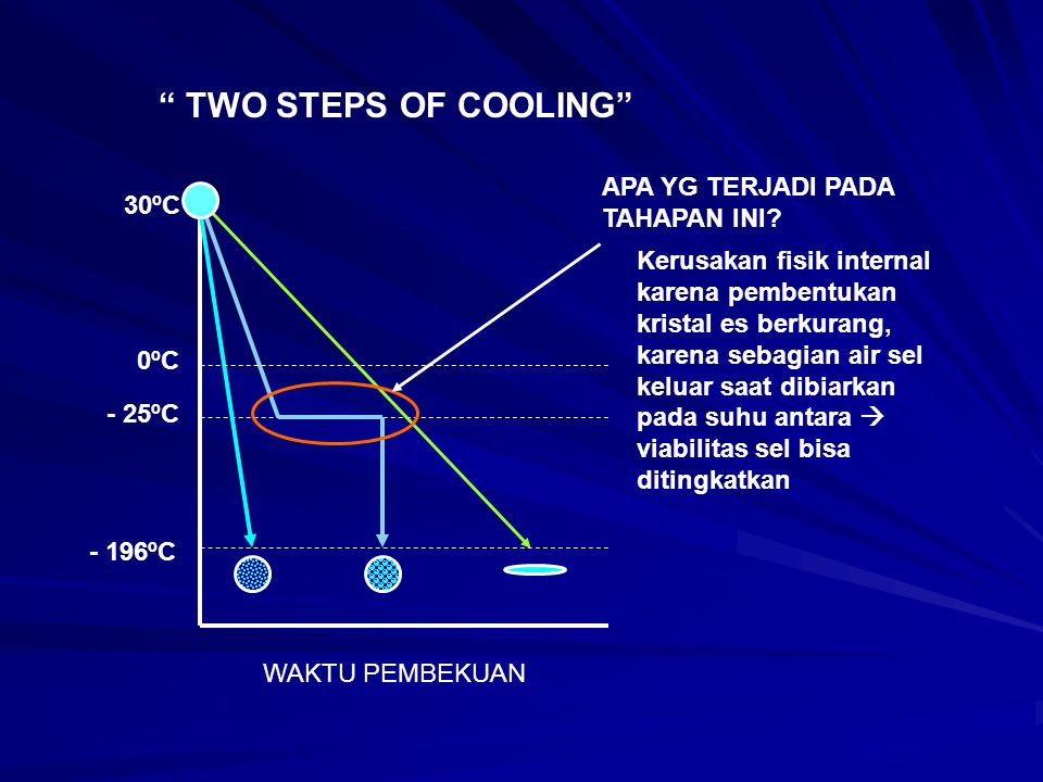 TWO STEPS OF COOLING APA YG TERJADI PADA TAHAPAN INI 30ºC