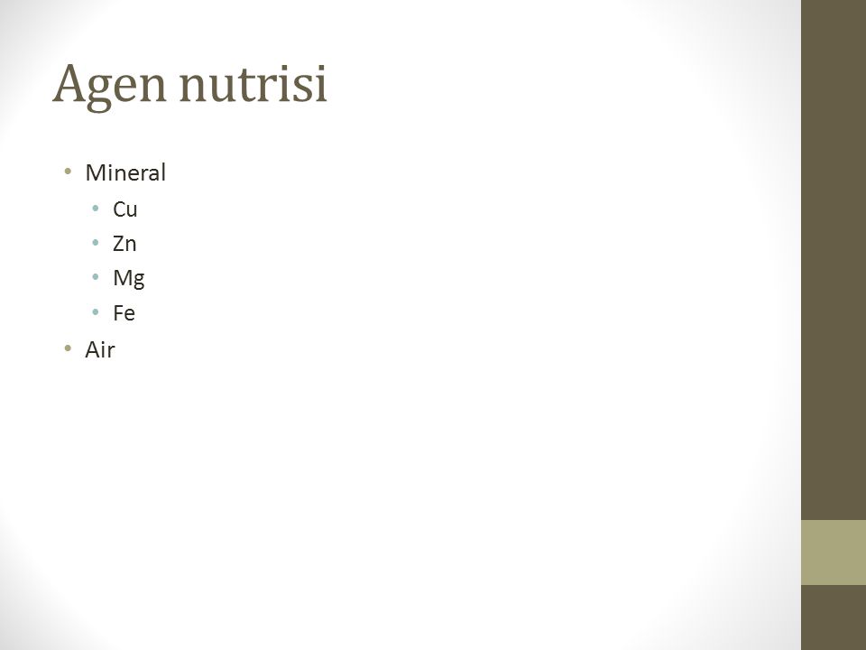 Agen nutrisi Mineral Cu Zn Mg Fe Air
