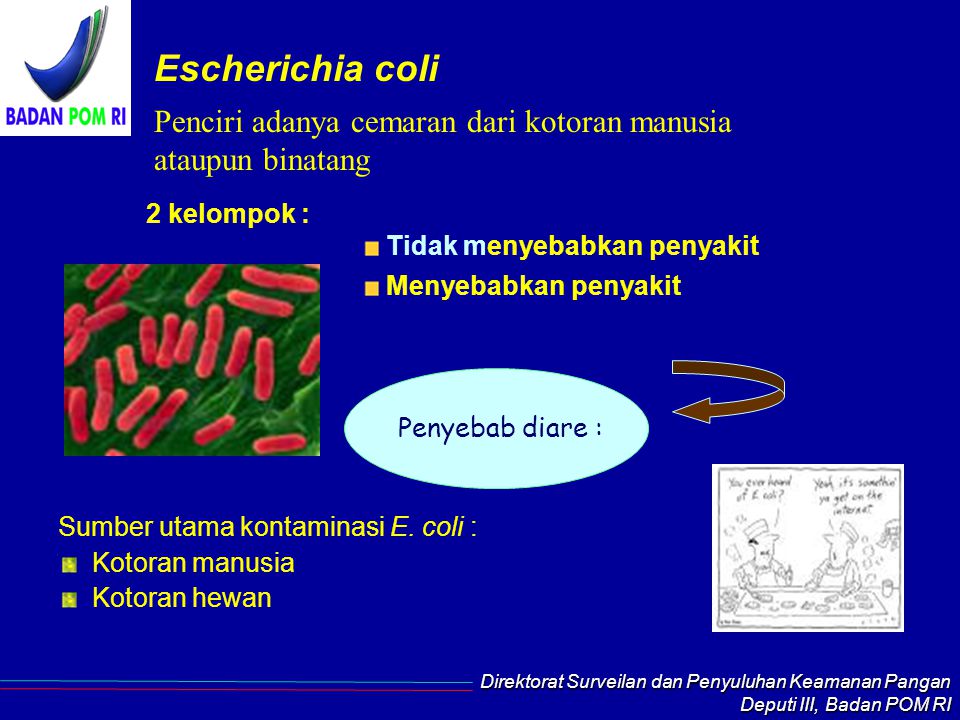 Escherichia coli Penciri adanya cemaran dari kotoran manusia ataupun binatang. 2 kelompok : Tidak menyebabkan penyakit.