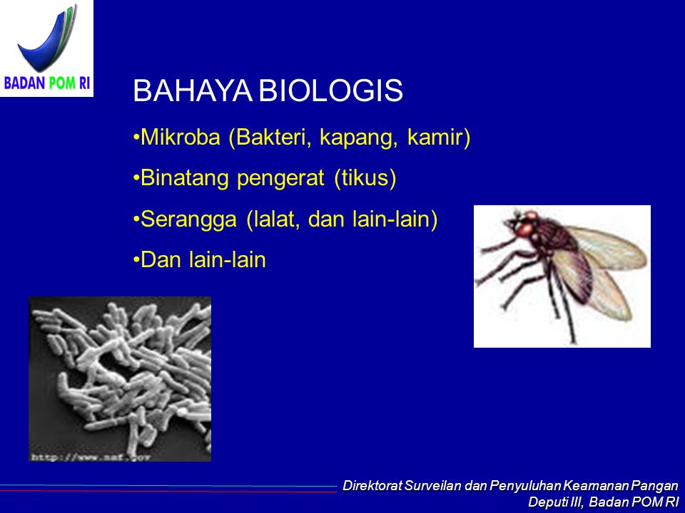 BAHAYA BIOLOGIS Mikroba (Bakteri, kapang, kamir)