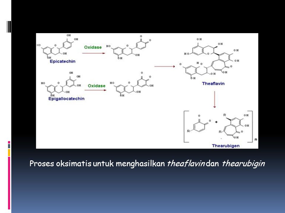 Proses oksimatis untuk menghasilkan theaflavin dan thearubigin