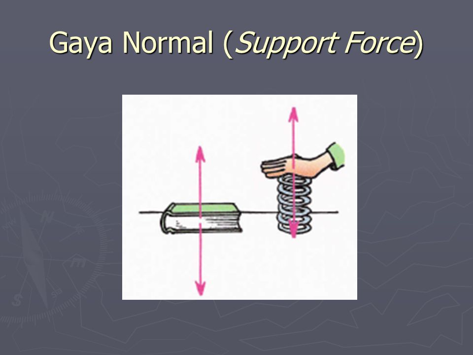 Gaya Normal (Support Force)