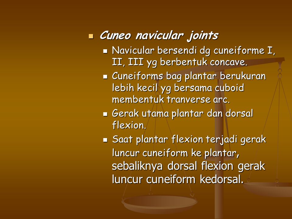 Cuneo navicular joints