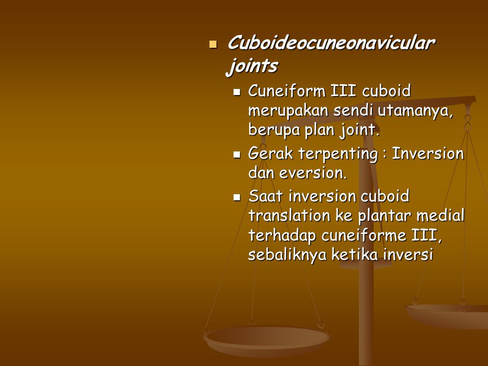 Cuboideocuneonavicular joints