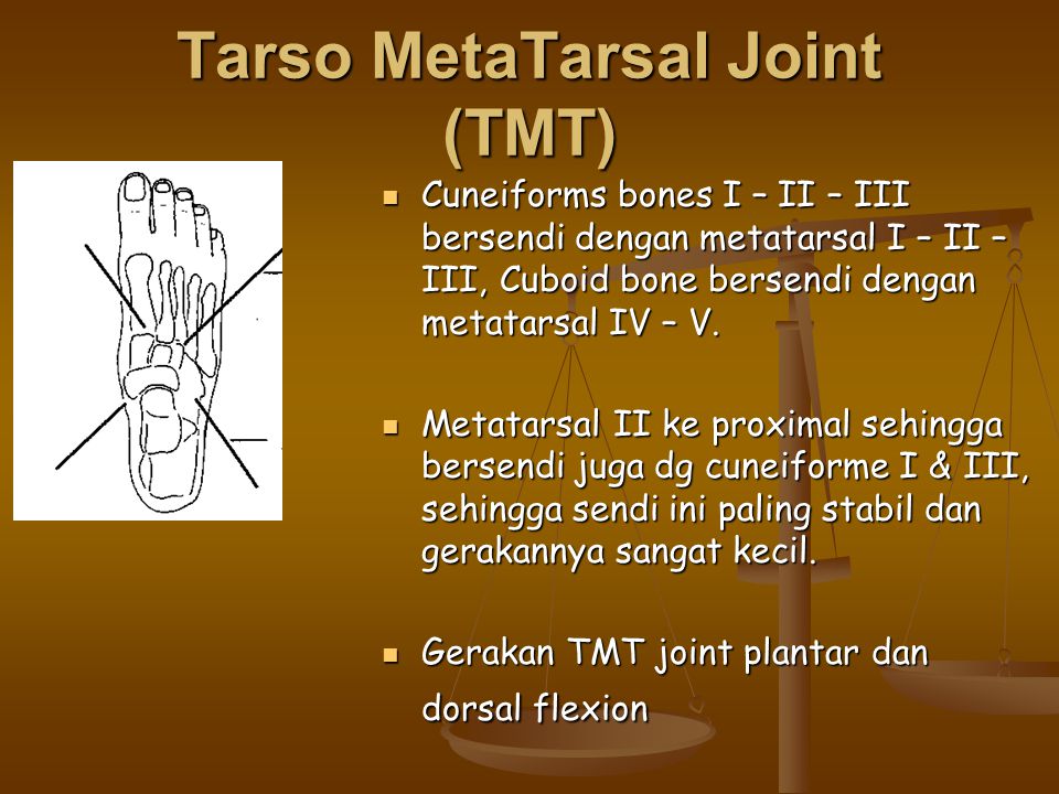 Tarso MetaTarsal Joint (TMT)