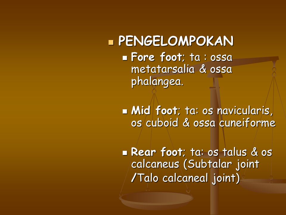 PENGELOMPOKAN Fore foot; ta : ossa metatarsalia & ossa phalangea.