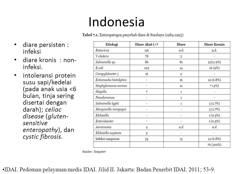 Indonesia diare persisten : infeksi diare kronis : non-infeksi.