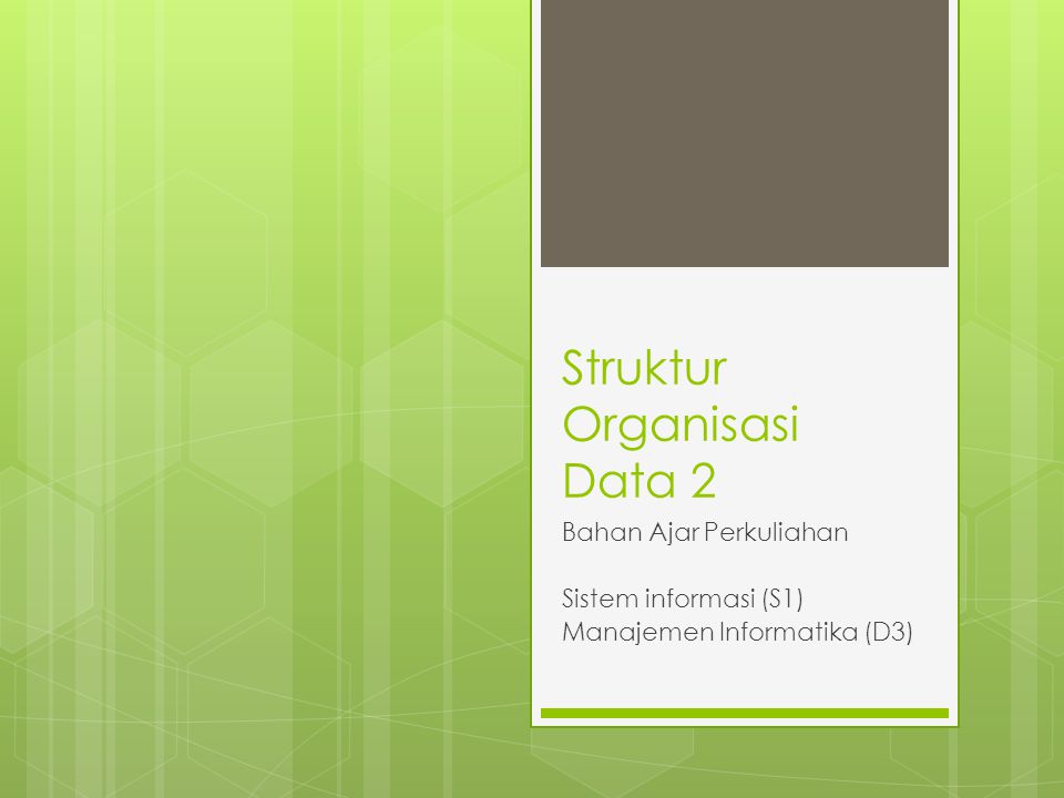 Struktur Organisasi Data 2