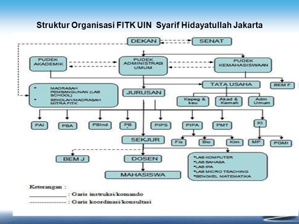 Struktur Organisasi FITK UIN Syarif Hidayatullah Jakarta