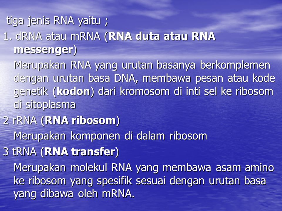 tiga jenis RNA yaitu ; 1. dRNA atau mRNA (RNA duta atau RNA messenger)