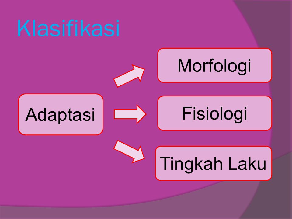 Klasifikasi Morfologi Adaptasi Fisiologi Tingkah Laku