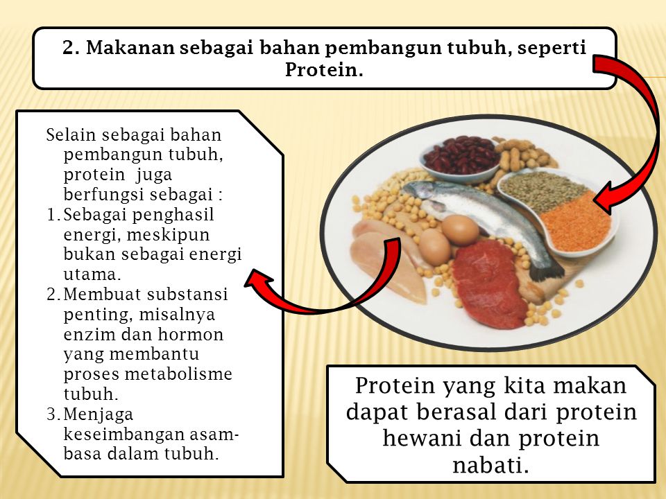2. Makanan sebagai bahan pembangun tubuh, seperti Protein.