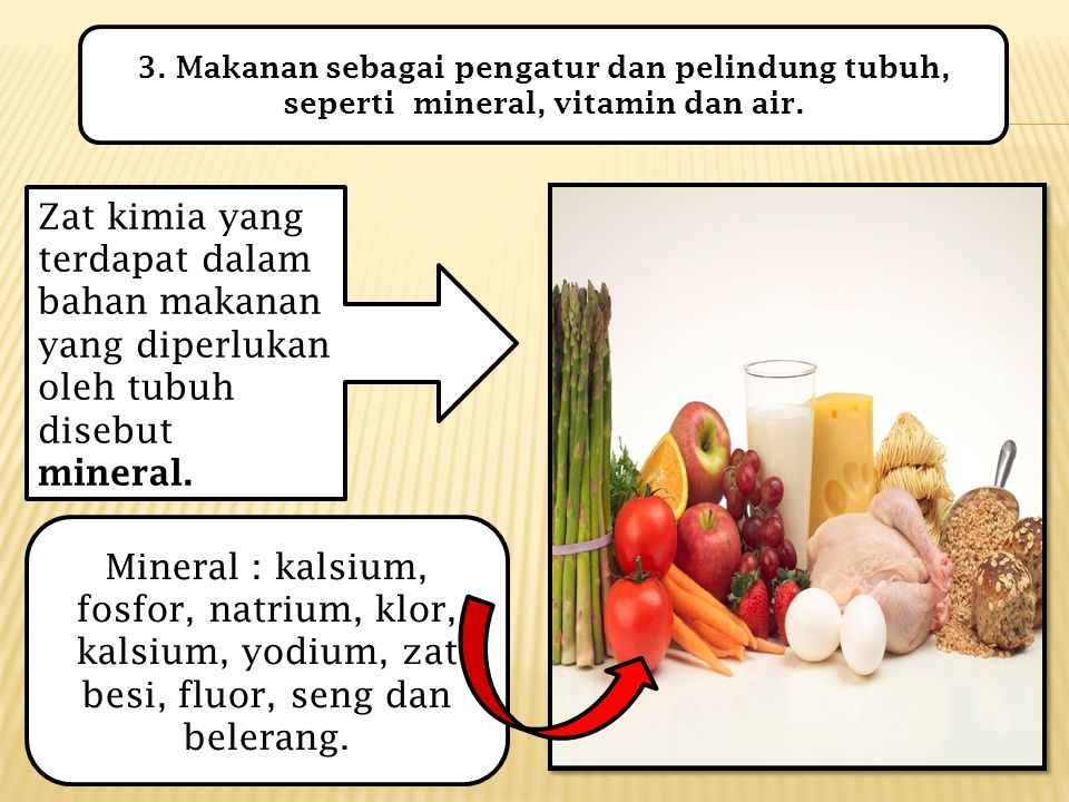 3. Makanan sebagai pengatur dan pelindung tubuh, seperti mineral, vitamin dan air.