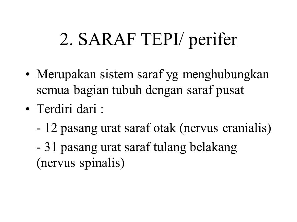 2. SARAF TEPI/ perifer Merupakan sistem saraf yg menghubungkan semua bagian tubuh dengan saraf pusat.