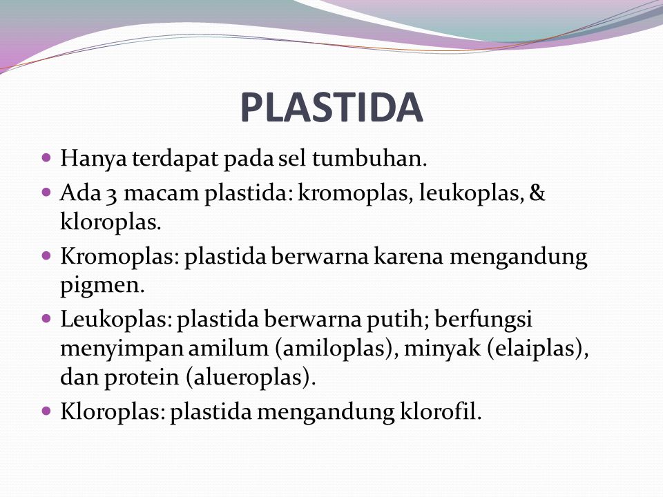 PLASTIDA Hanya terdapat pada sel tumbuhan.