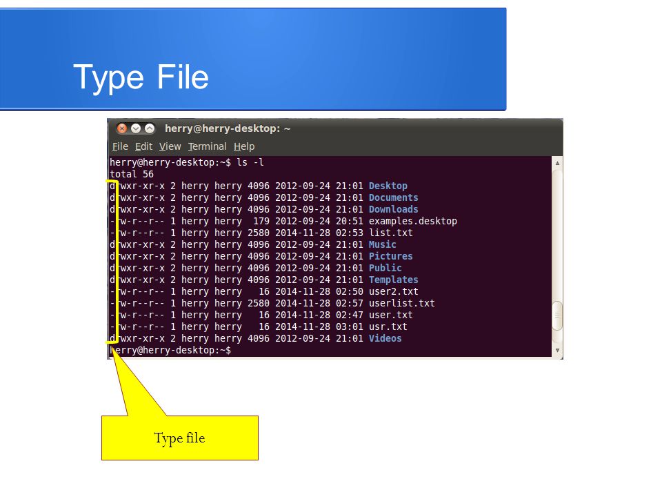 Type File Type file